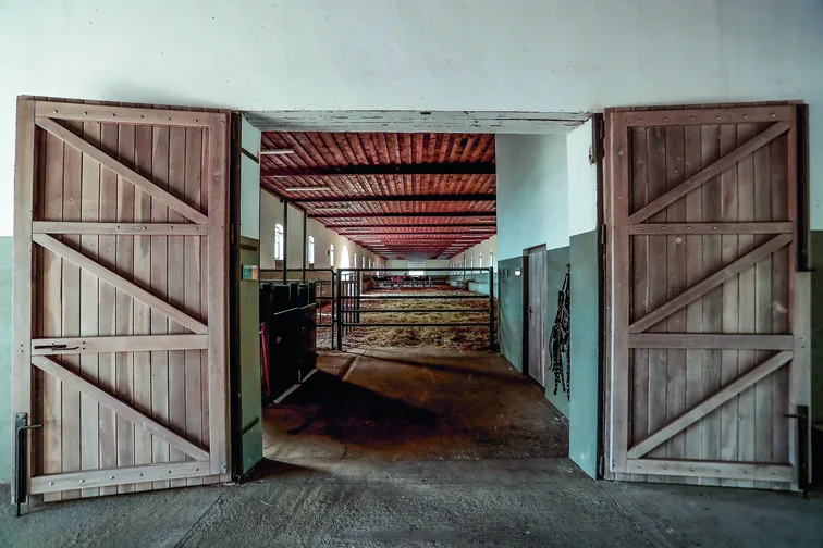 Mezőhegyes, ménesbirtok