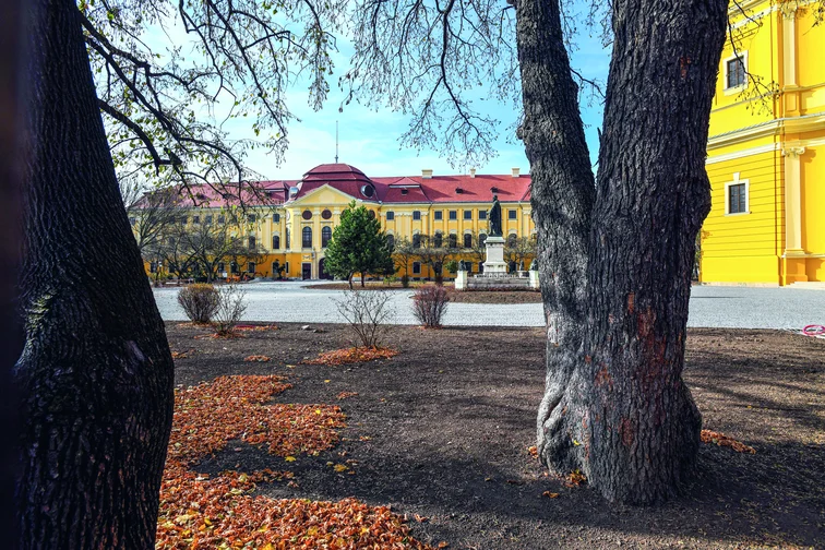 Nagyvárad, római katolikus püspöki palota