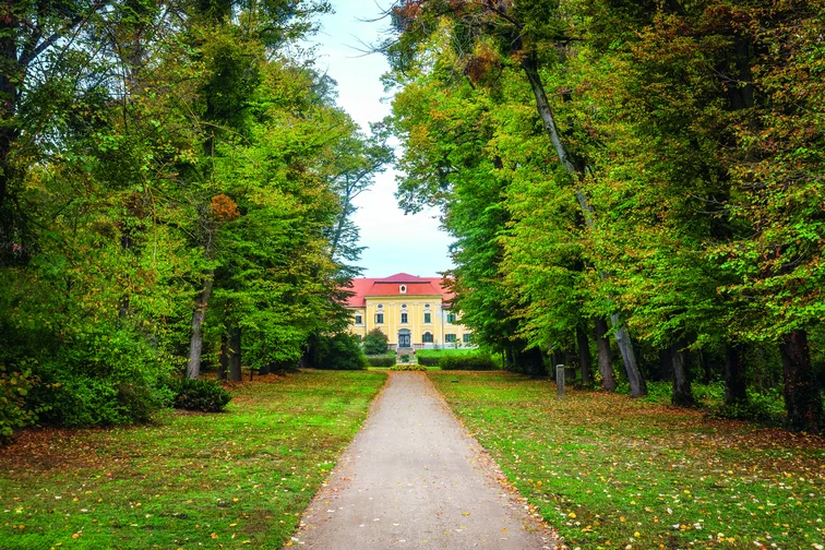 Sellye, Batthyány–Draskovich-kastélypark